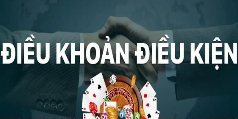 Những thành phần chính trong Điều kiện điều khoản